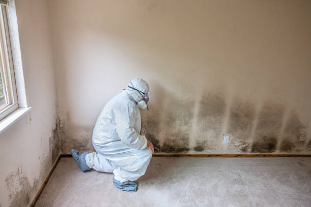 Best Biohazard Mold Removal  in Midway, GA